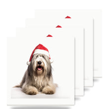 Bergamasco Sheepdog ceramic coasters set of 4