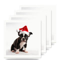 Boston Terrier Puppy ceramic coasters set of 4