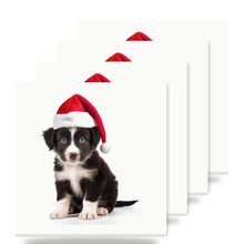 Border Collie Puppy ceramic coasters set of 4