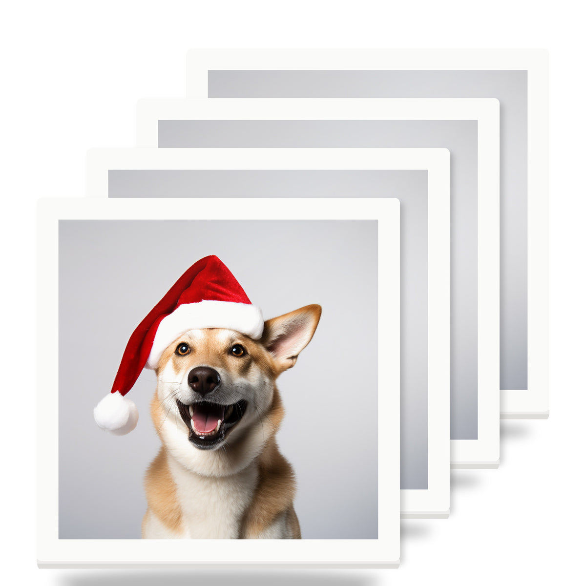 Canaan Dog ceramic coasters set of 4