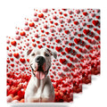 Dogo Argentino ceramic coasters set of 4
