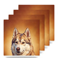 Siberian Husky Portrait ceramic coasters set of 4