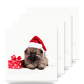 Keeshonden Puppy ceramic coasters set of 4