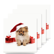 Pomeranian Puppy ceramic coasters set of 4