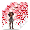 German Wirehaired Pointer ceramic coasters set of 4