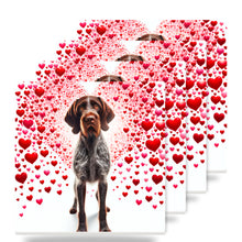 German Wirehaired Pointer ceramic coasters set of 4