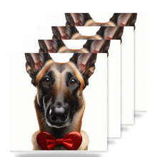 Belgian Malinois ceramic coasters set of 4