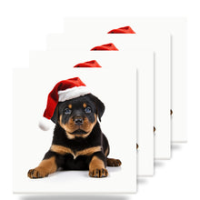 Rottweiler Puppy ceramic coasters set of 4