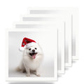 American Eskimo Dog ceramic coasters set of 4