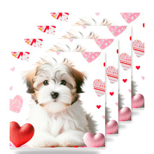 Havanese ceramic coasters set of 4