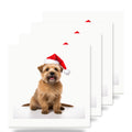 Norfolk Terrier ceramic coasters set of 4