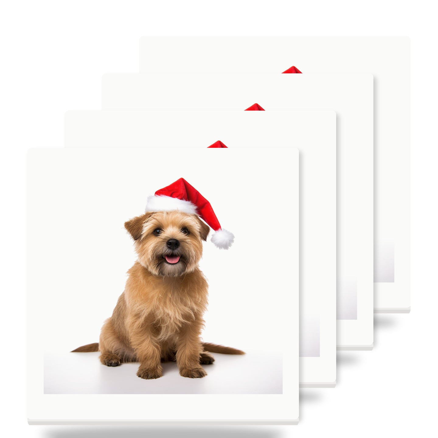 Norfolk Terrier ceramic coasters set of 4