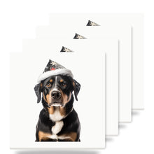 Entlebucher Mountain Dog ceramic coasters set of 4
