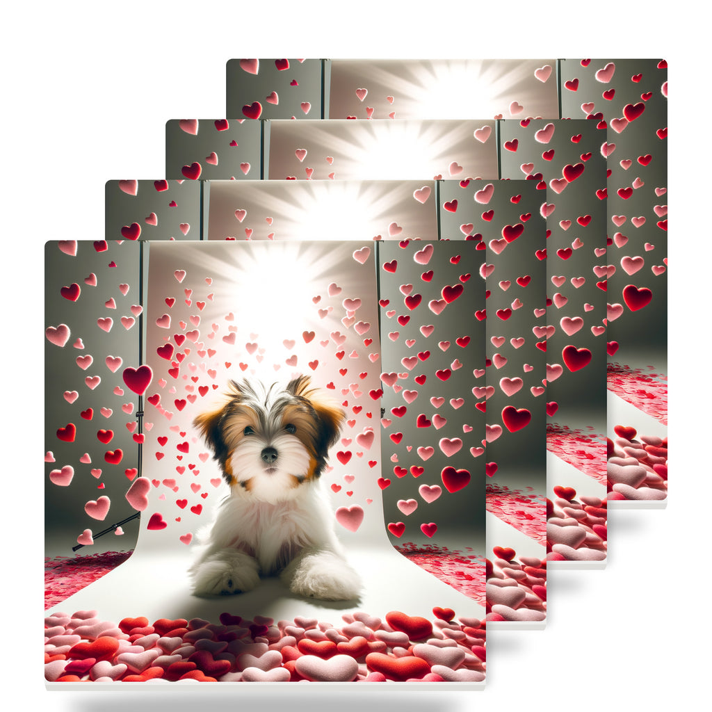 Havanese ceramic coasters set of 4