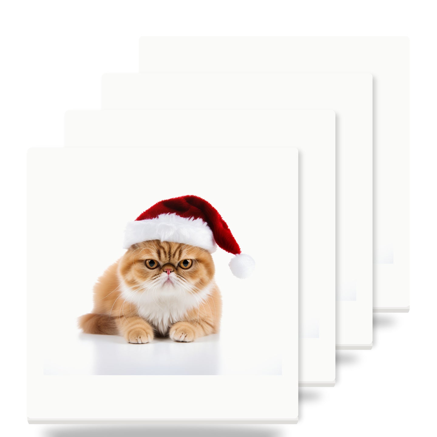 Exotic Shorthair Cat ceramic coasters set of 4