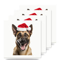 Belgian Malinois ceramic coasters set of 4