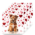 Norfolk Terrier ceramic coasters set of 4