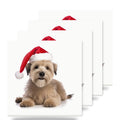 Glen of Imaal Terrier ceramic coasters set of 4