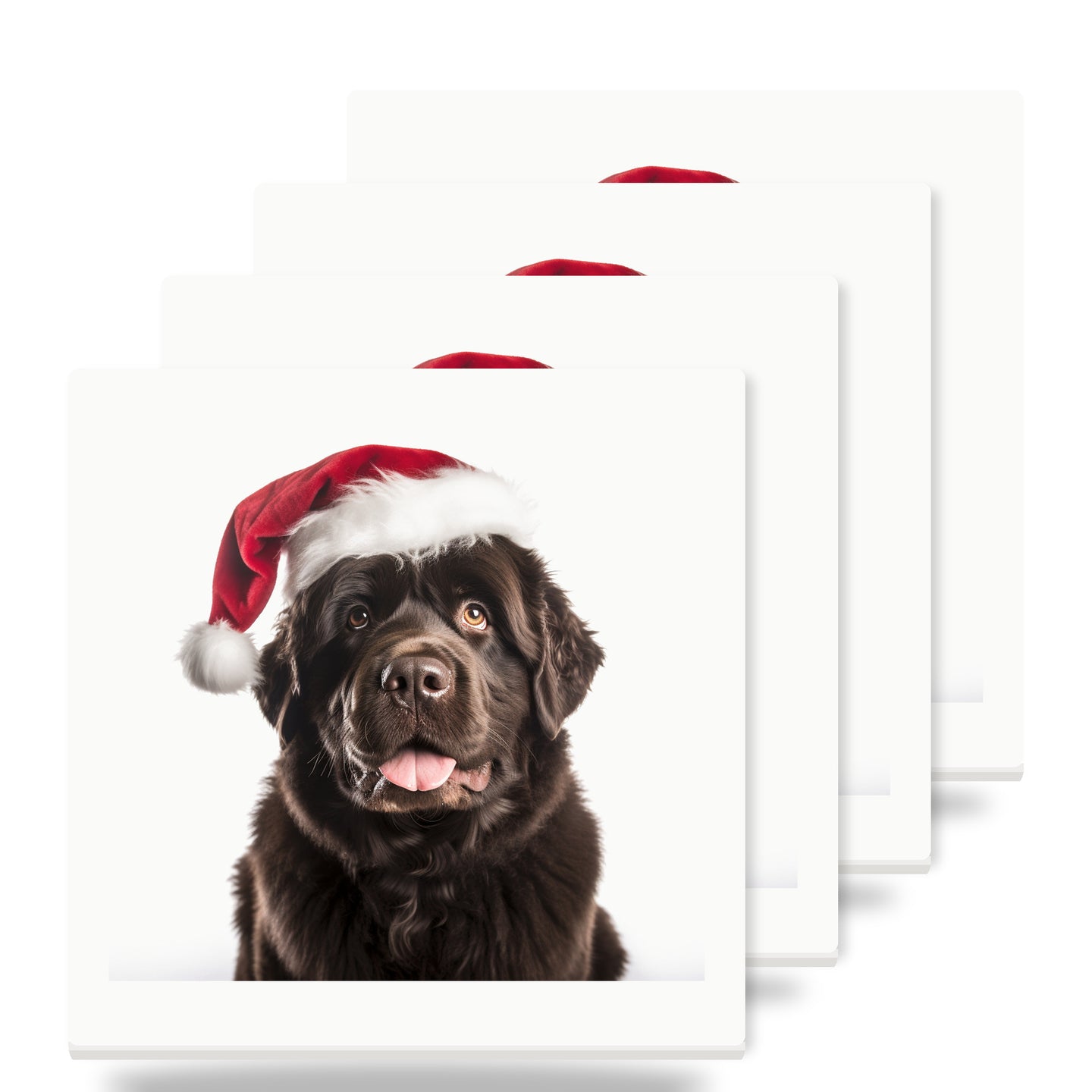 Newfoundland ceramic coasters set of 4