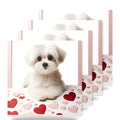 Maltese ceramic coasters set of 4