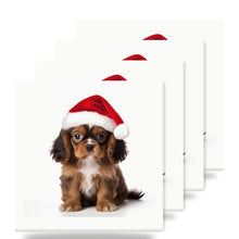 English Toy Spaniel Puppy ceramic coasters set of 4