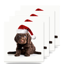 American Water Spaniel Puppy ceramic coasters set of 4