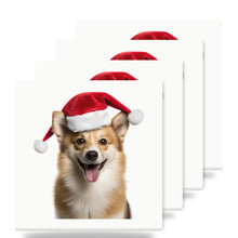 Icelandic Sheepdog ceramic coasters set of 4