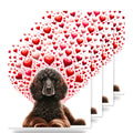 Irish Water Spaniel ceramic coasters set of 4