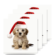 Dandie Dinmont Terrier Puppy ceramic coasters set of 4
