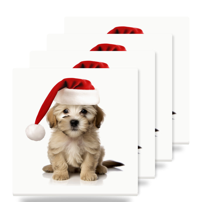 Dandie Dinmont Terrier Puppy ceramic coasters set of 4