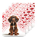 Boykin Spaniel ceramic coasters set of 4