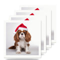 Cavalier King Charles Spaniel ceramic coasters set of 4