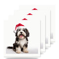 Tibetan Terrier ceramic coasters set of 4