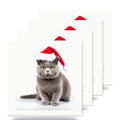 British Shorthair Cat ceramic coasters set of 4