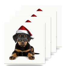 Beauceron Puppy ceramic coasters set of 4