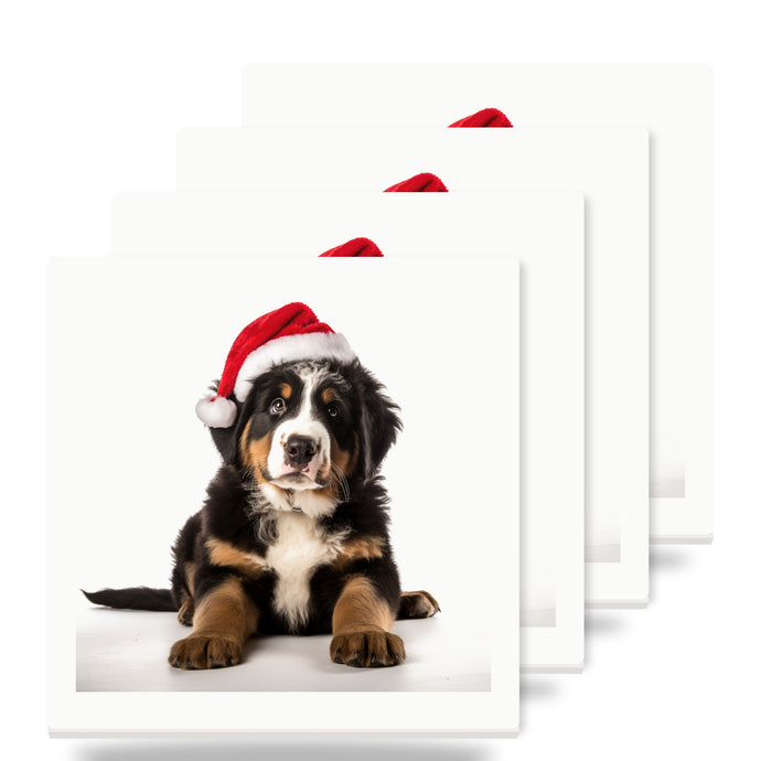 Greater Swiss Mountain Dog Puppy ceramic coasters set of 4
