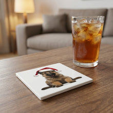 Belgian Tervuren Puppy ceramic coasters set of 4, lifestyle