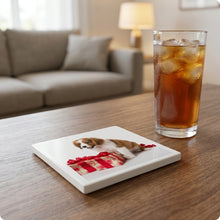 Kooikerhondje Puppy ceramic coasters set of 4, lifestyle