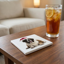 St. Bernard ceramic coasters set of 4, lifestyle