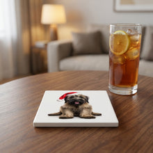 Briard Puppy ceramic coasters set of 4, lifestyle