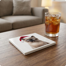 Burmese Cat ceramic coasters set of 4, lifestyle