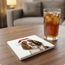 Welsh Springer Spaniel ceramic coasters set of 4, lifestyle