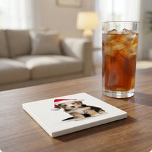 Biewer Terrier Puppy ceramic coasters set of 4, lifestyle