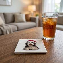 Bearded Collie ceramic coasters set of 4, lifestyle