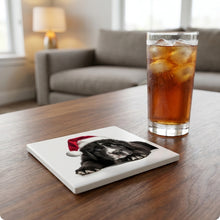 Newfoundland Puppy ceramic coasters set of 4, lifestyle