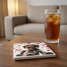 Wirehaired Pointing Griffon ceramic coasters set of 4, lifestyle