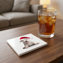 Dogo Argentino Puppy ceramic coasters set of 4, lifestyle