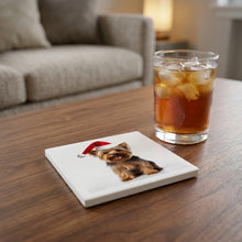 Silky Terrier ceramic coasters set of 4, lifestyle