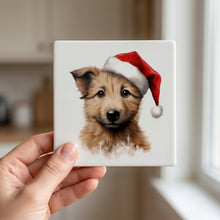 Berger Picard Puppy Drawing ceramic coasters set of 4, in hand