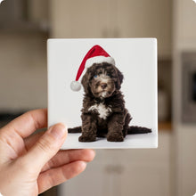 Spanish Water Dog Puppy ceramic coasters set of 4, in hand